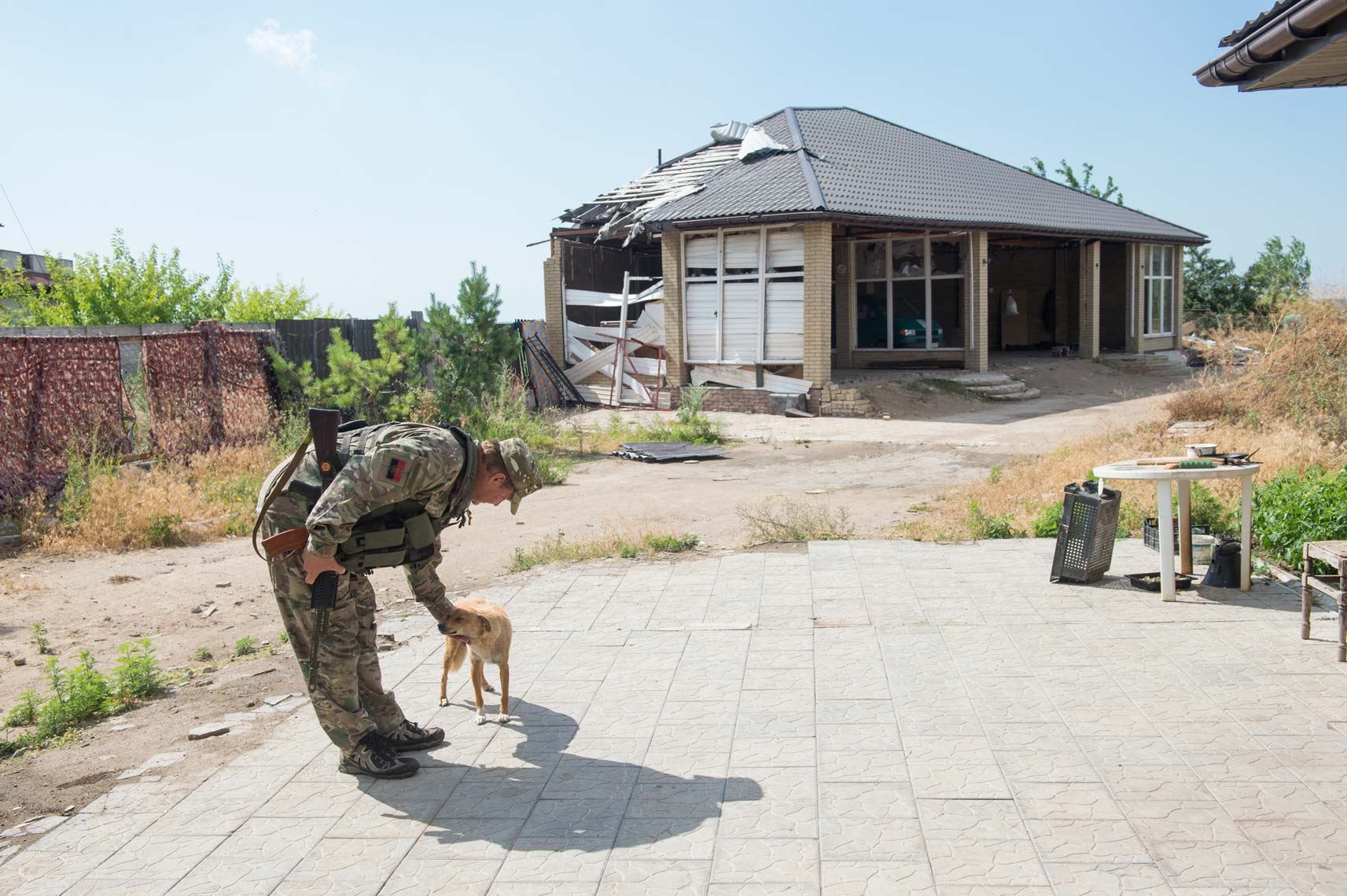 Donbas-pets-21