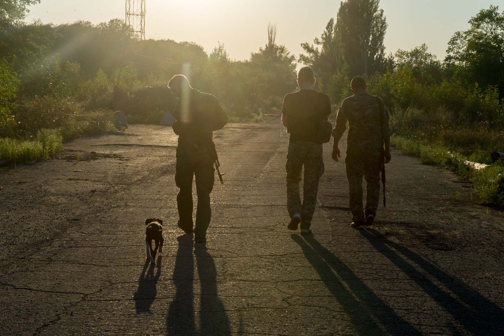 Donbas-pets-22