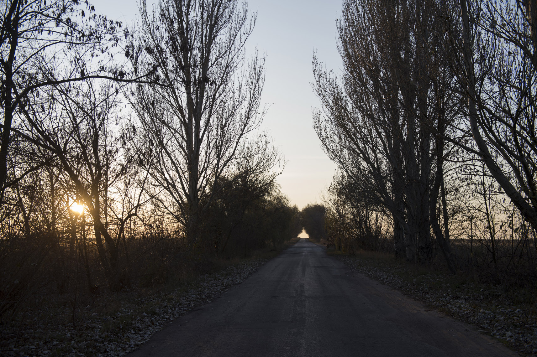 donetsk-road-november