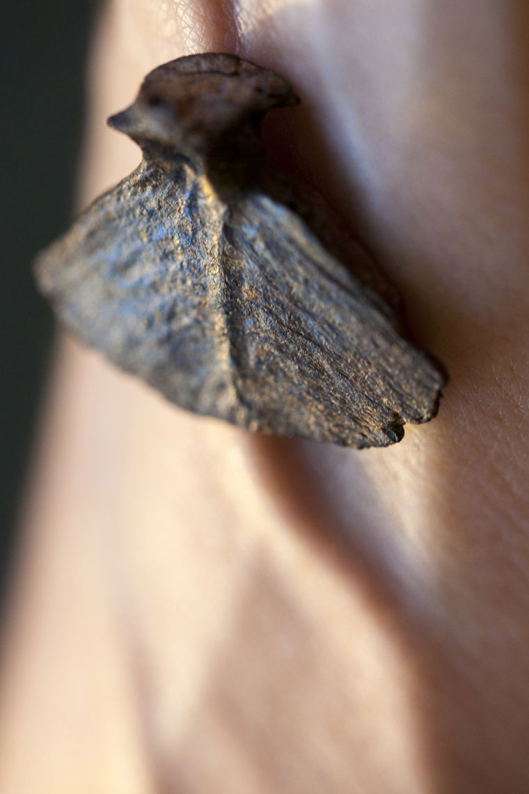 fossilized-fish-caudal-vertebra-on-wrist