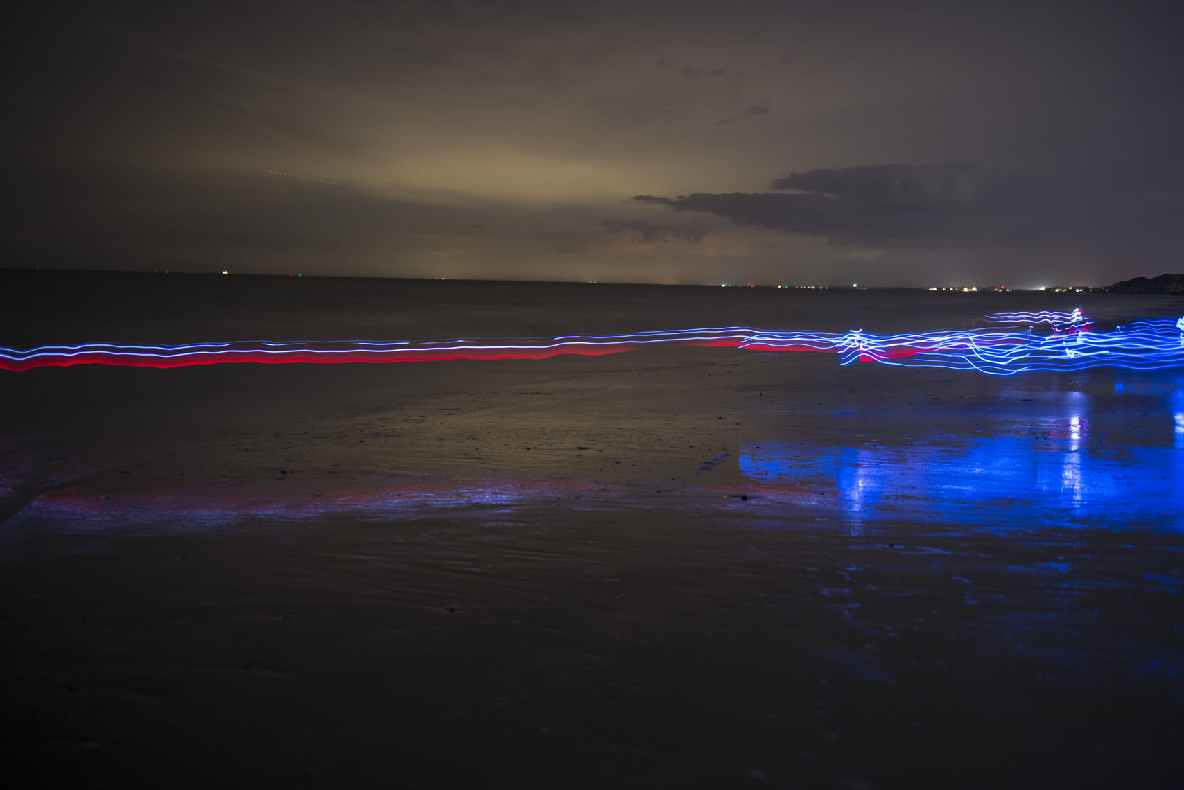 happy-dogs-playing-wearing-LED-light-collars-at-night-01