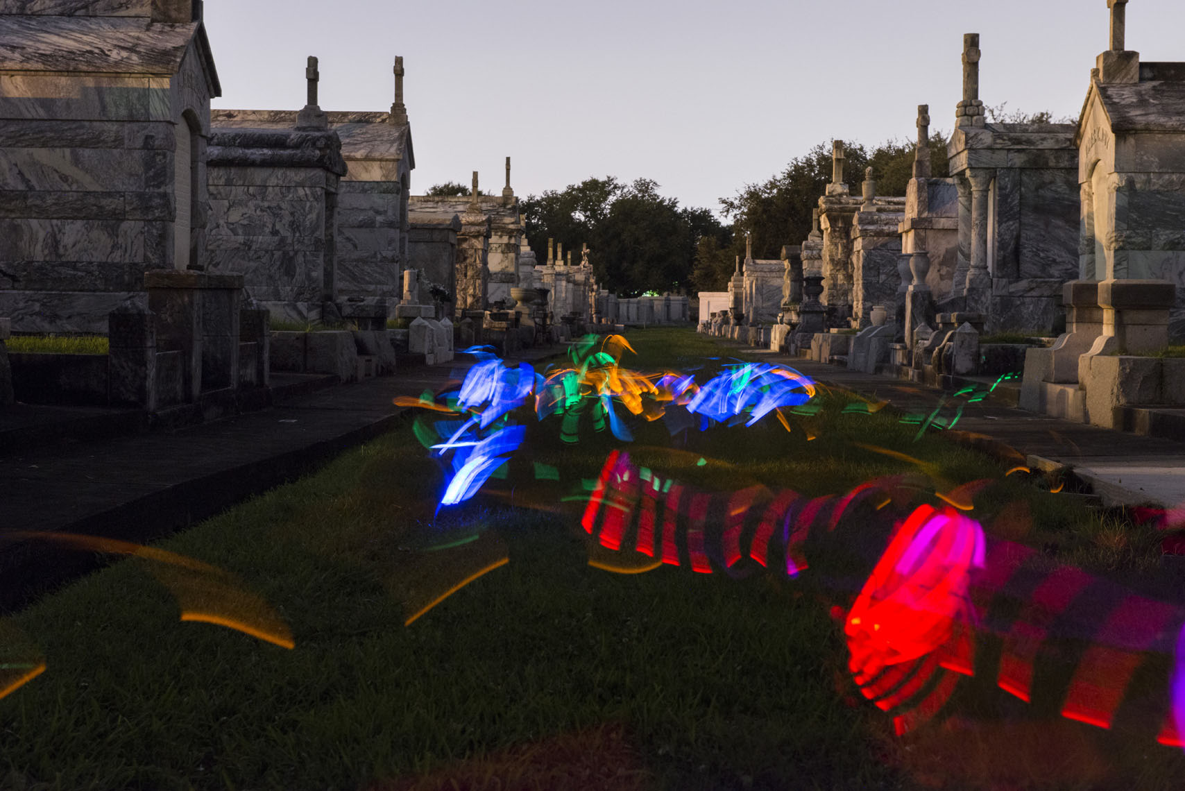 happy-dogs-playing-in-a-New-Orleans-cemetery-at-night