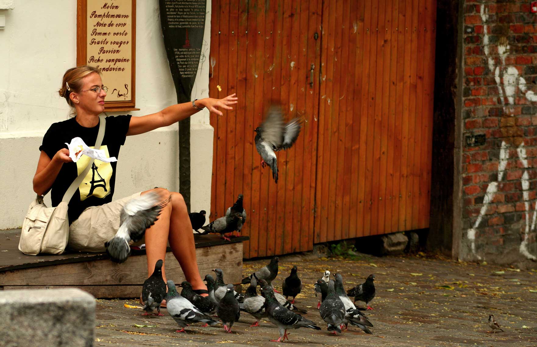 pesty-pigeons-of-paris